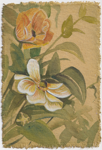 Ranunculus