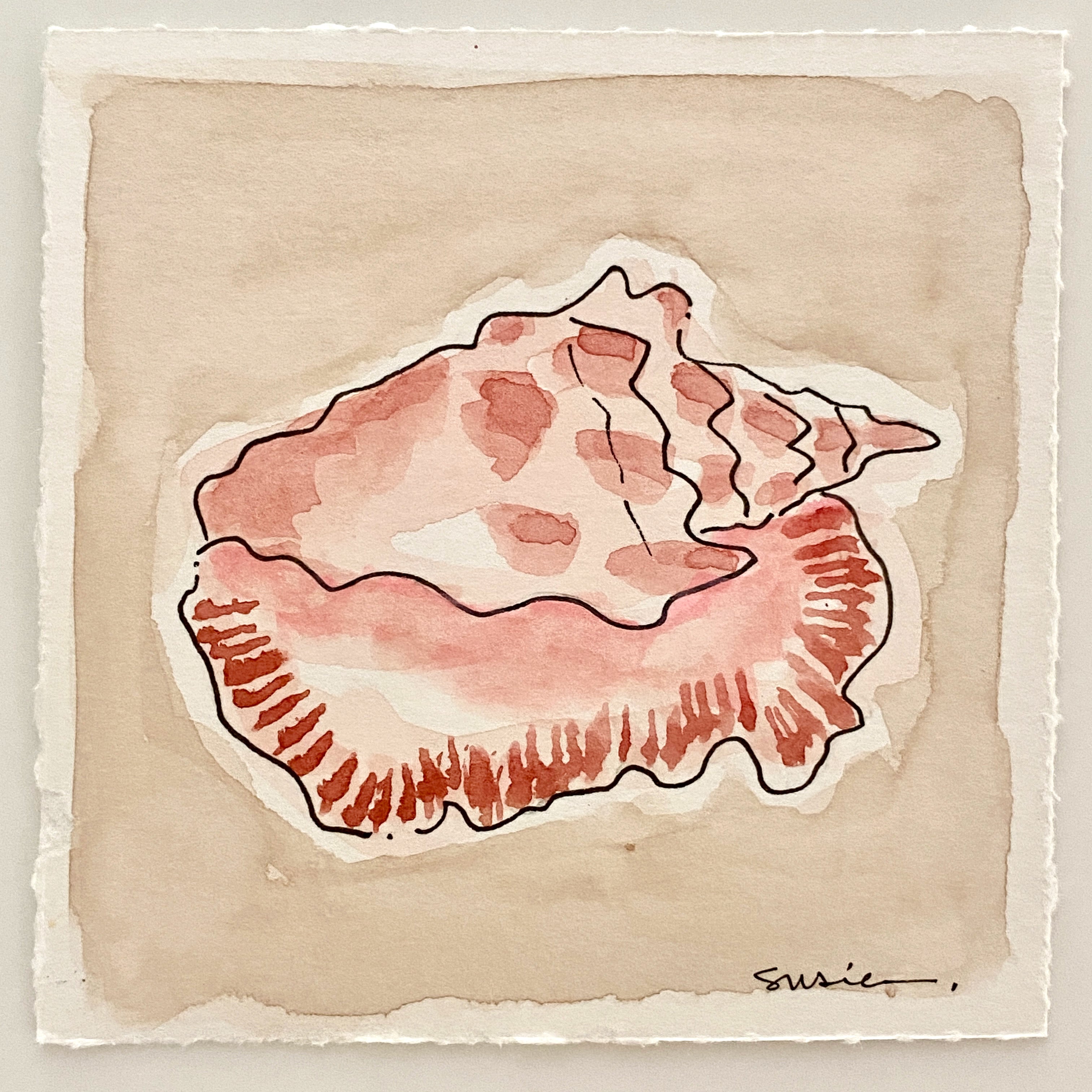 Mini Shell No. 10