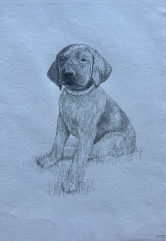 Pup