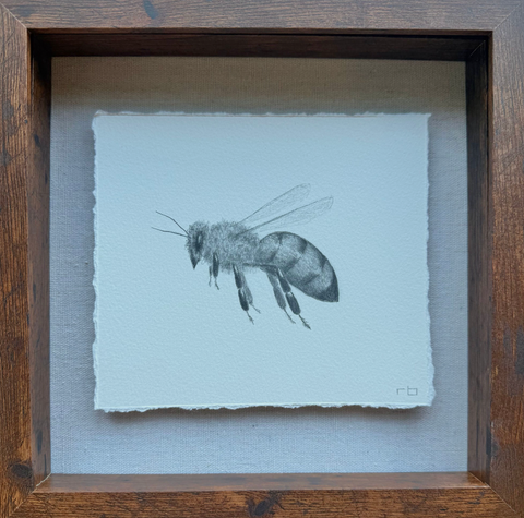 Little Bee 1