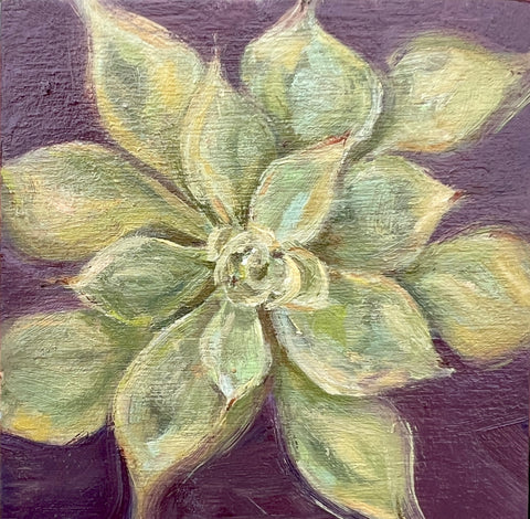 Succulent