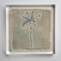 Original Hurricane Palm 11
