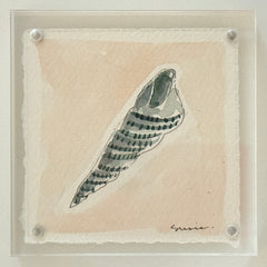 Original Susie Shell No. 24