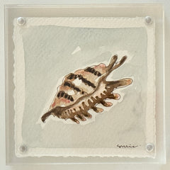 Original Susie Shell No. 4