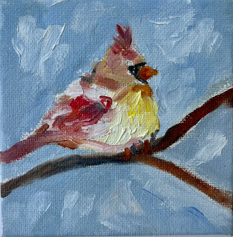 Northern Cardinal