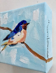 Welcome Barn Swallow