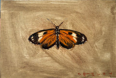 Tiger Longwing Butterfly