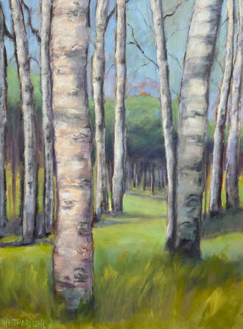 Aspen Summer
