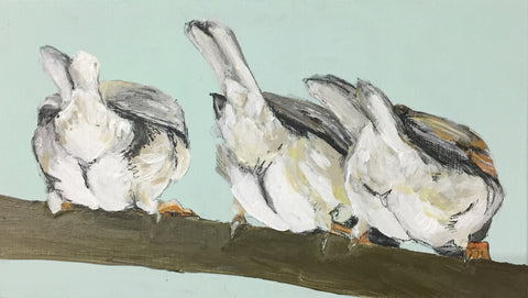 Behind Birds