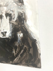 Bear Study