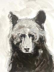 Bear Study