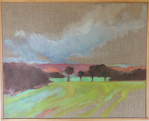 Flood Plains Study