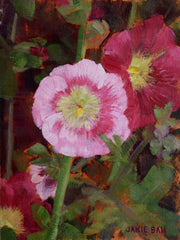 Hollyhocks