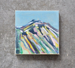 Telluride Study I