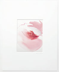 Pink Peony