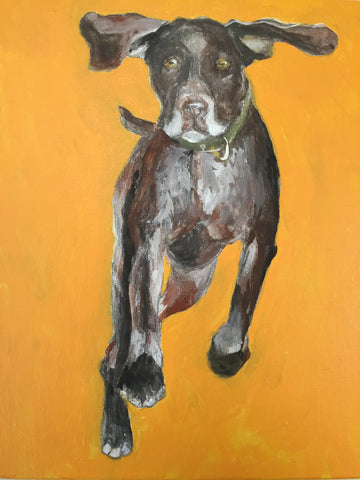 Dog Run