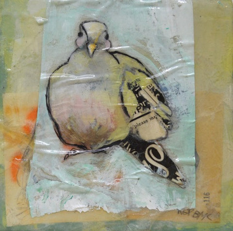 Gulf Dove