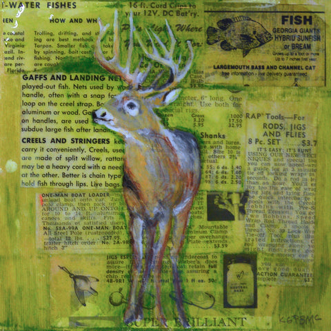 Hunting and Fishing