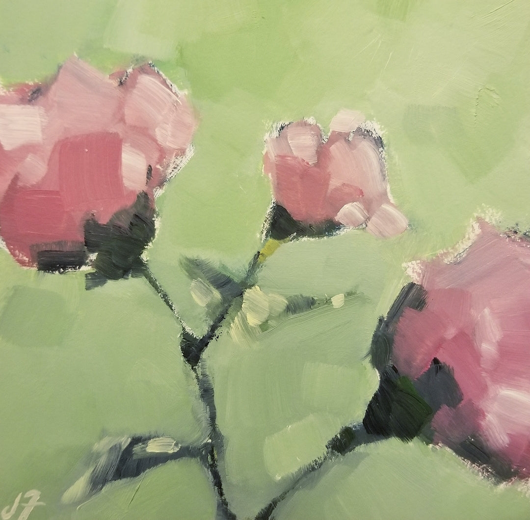 Three Pink Flowers