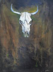 Cow Skull