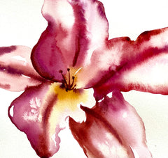 Summer Bloom 1