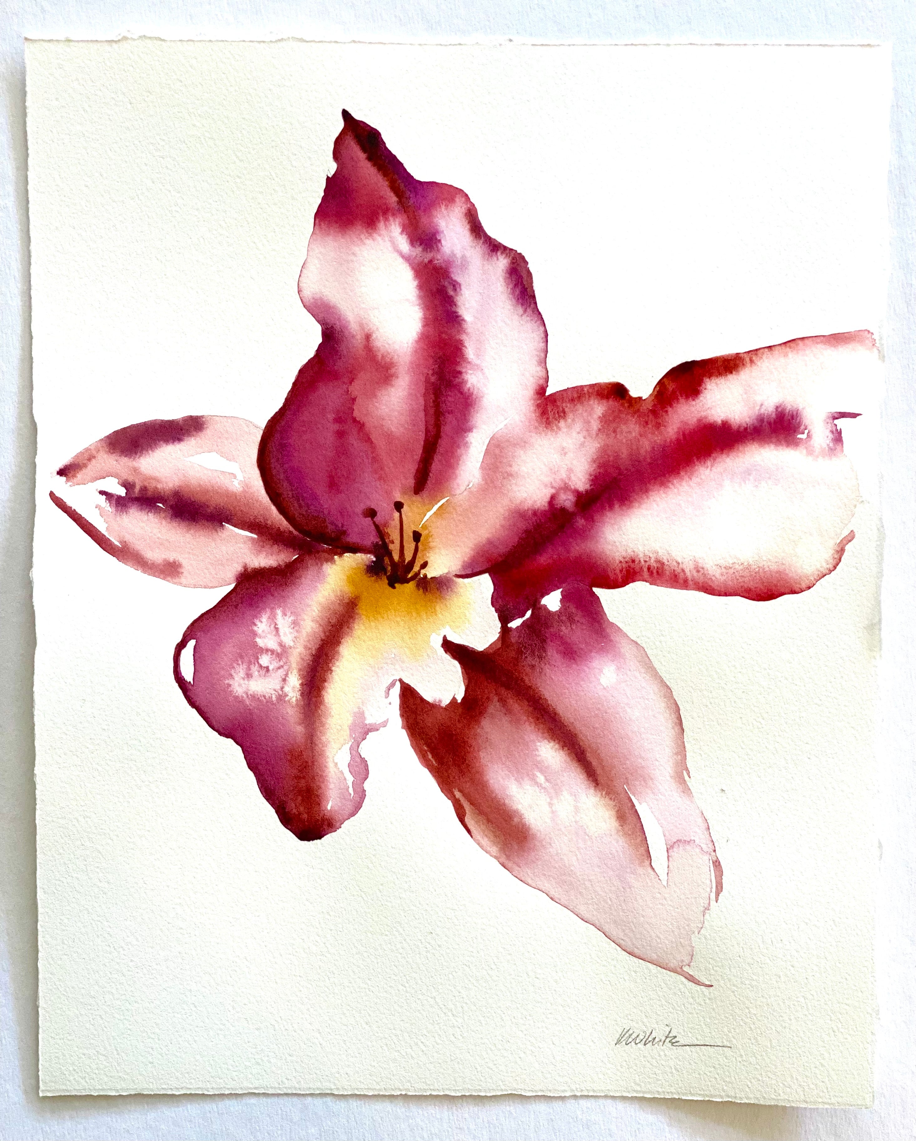 Summer Bloom 1