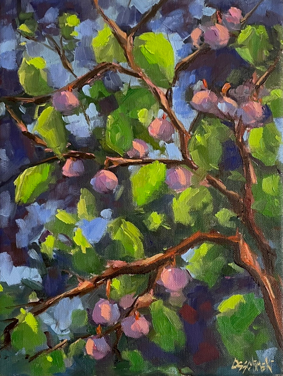 Beach Plums