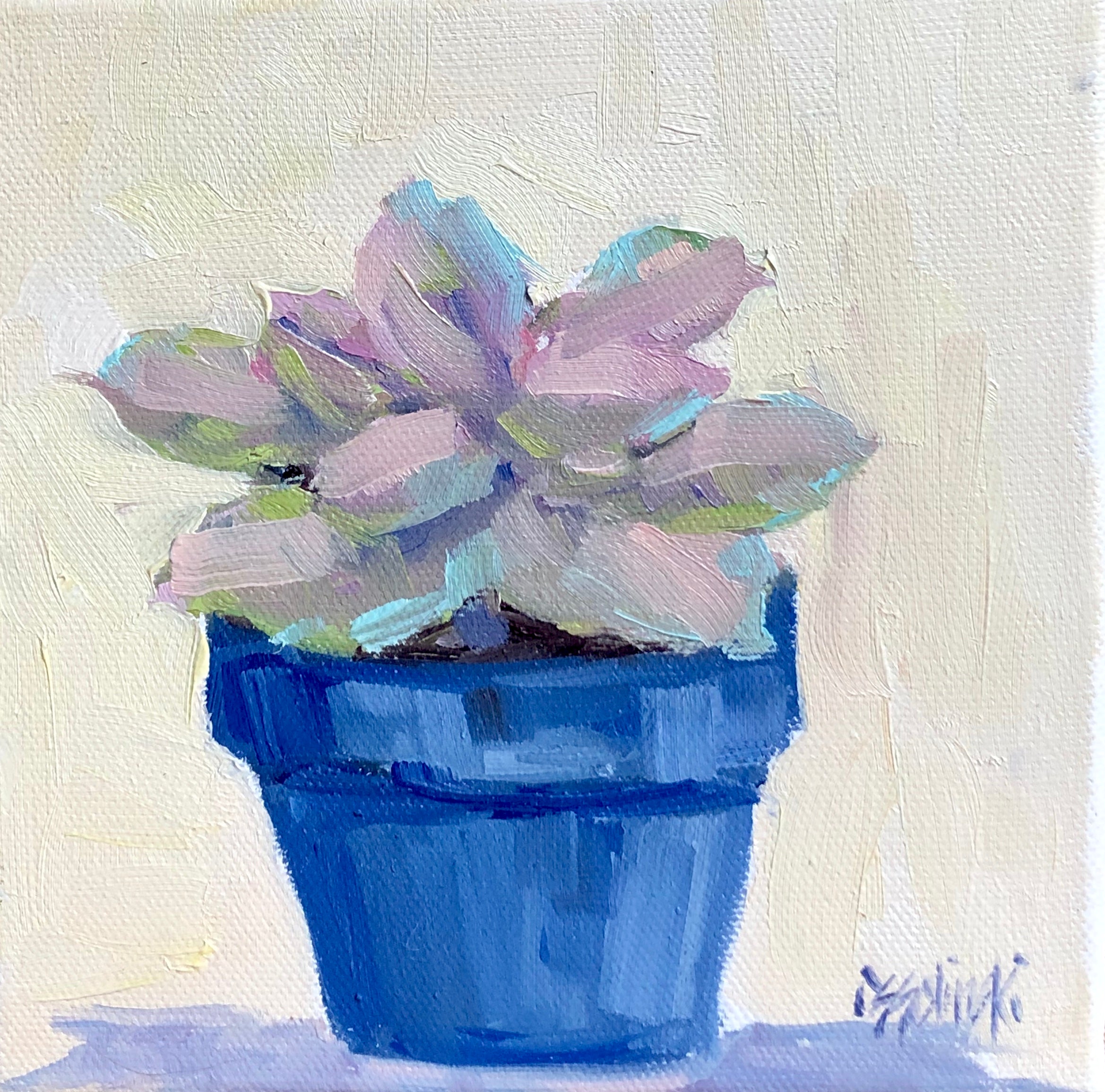 Succulent 1