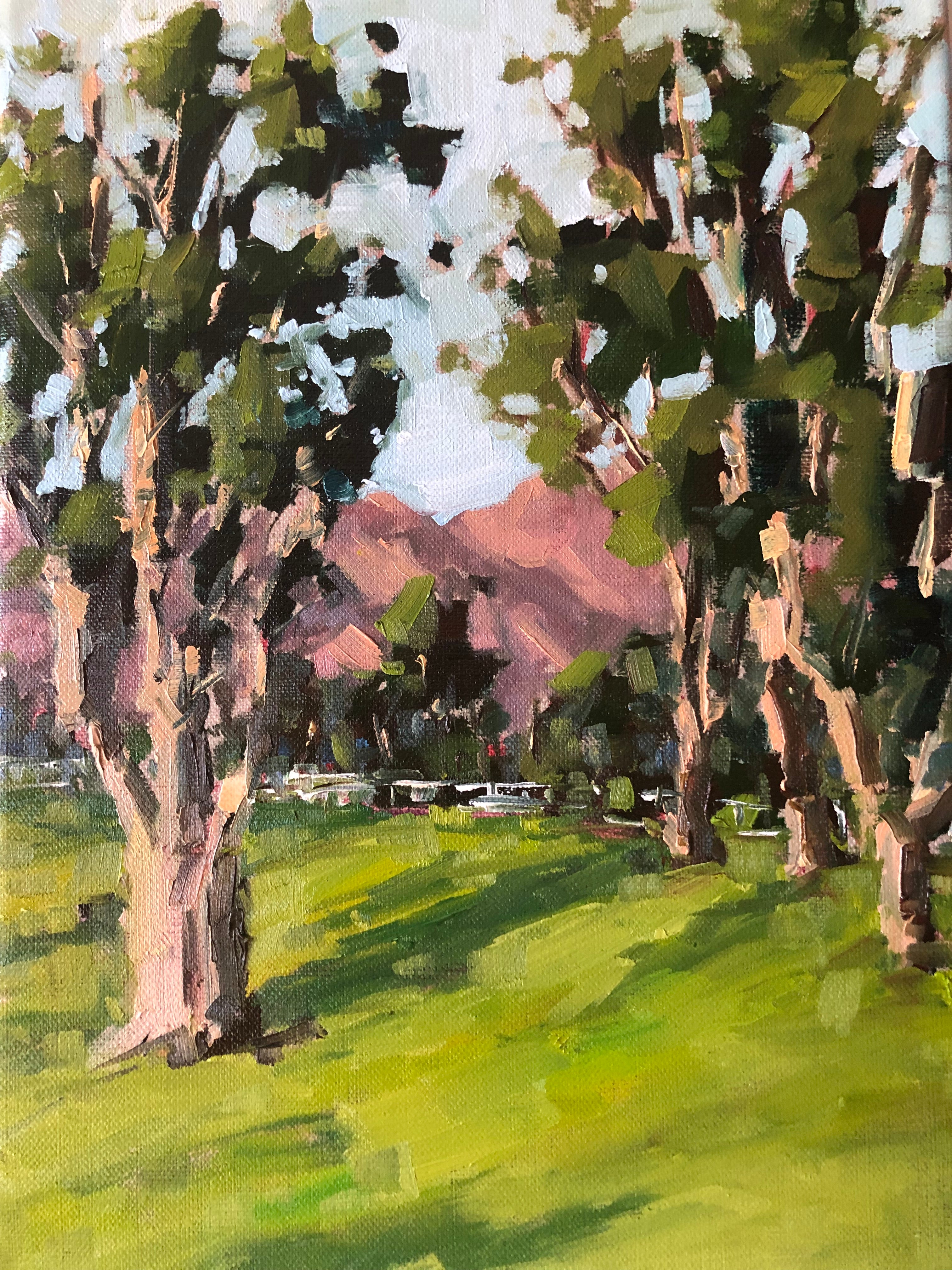 Hello Ojai