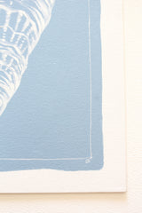 Blue Oyster II
