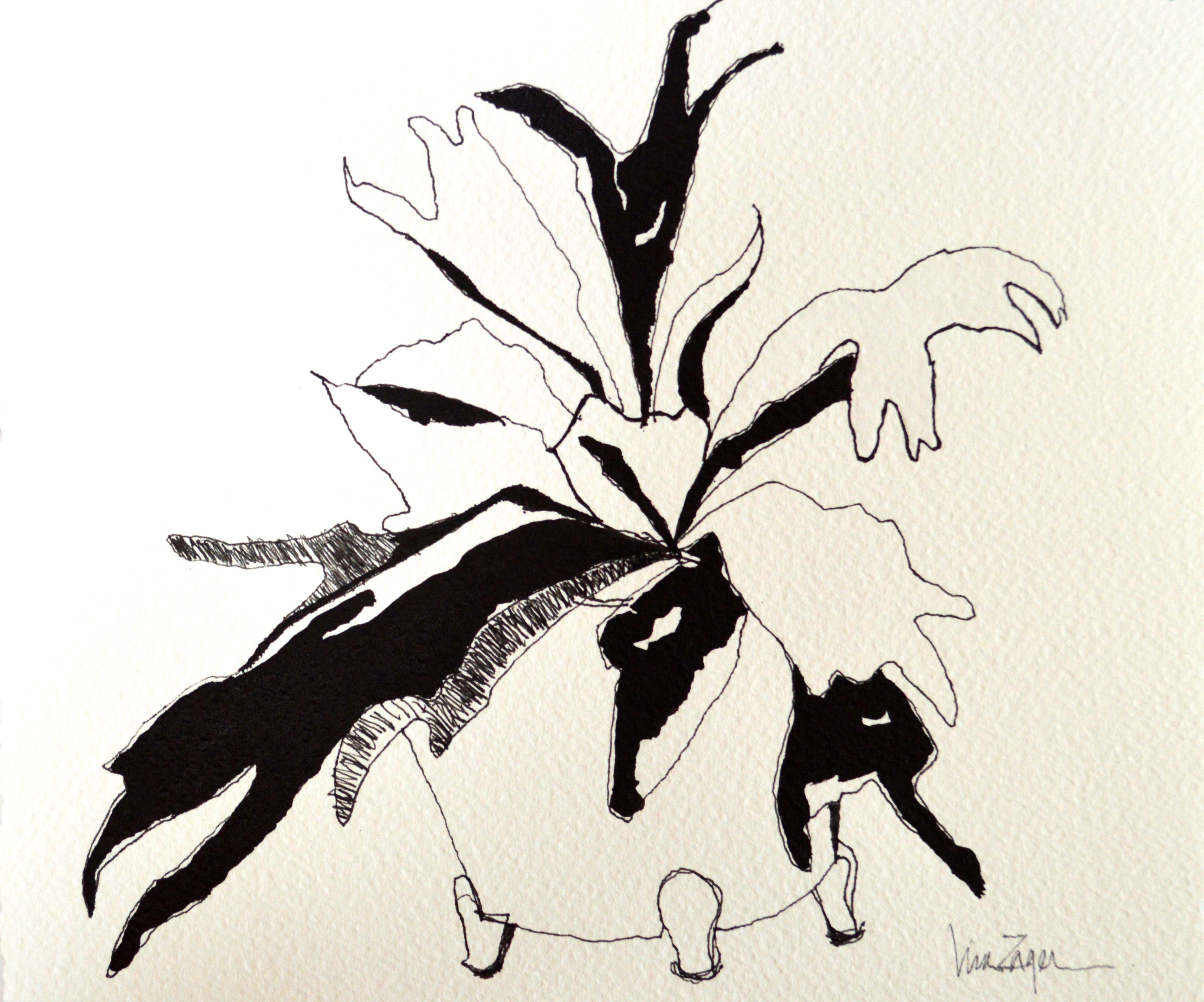 Staghorn Love