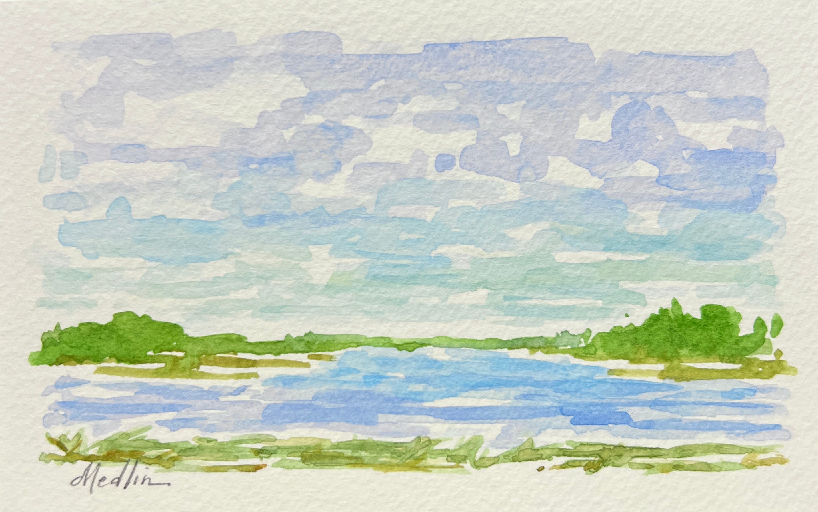 Lowcountry Marsh IX