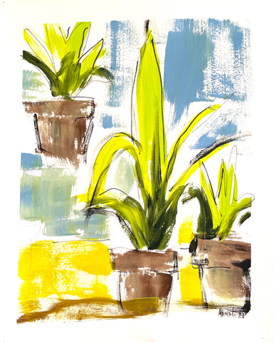 Fern