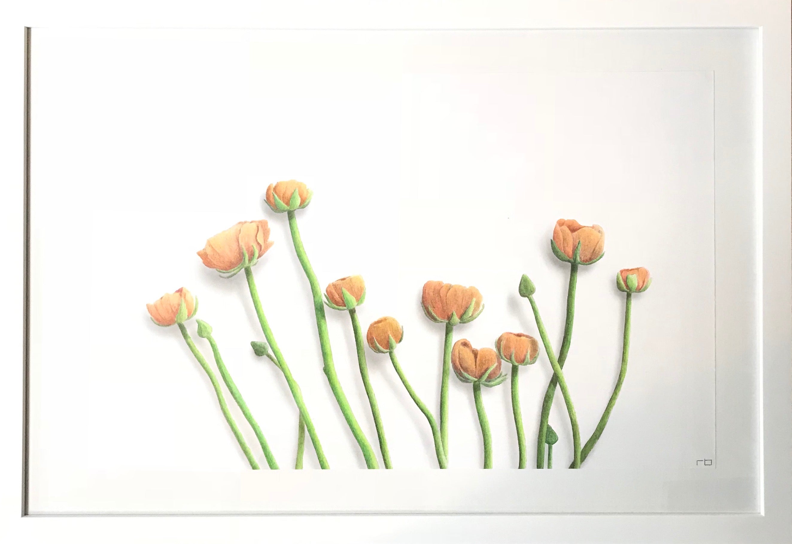 Flower Study