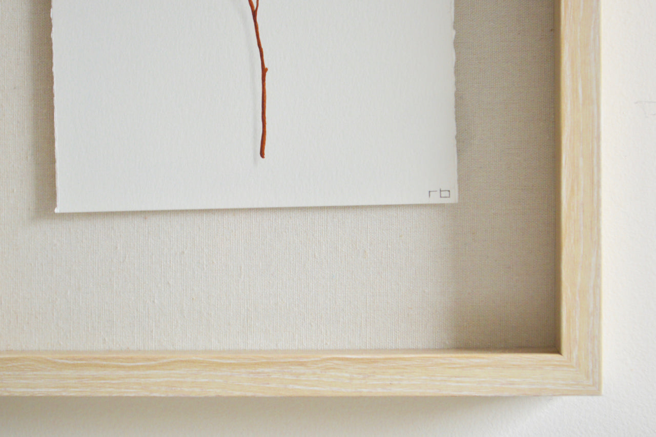 Acorn Study 4