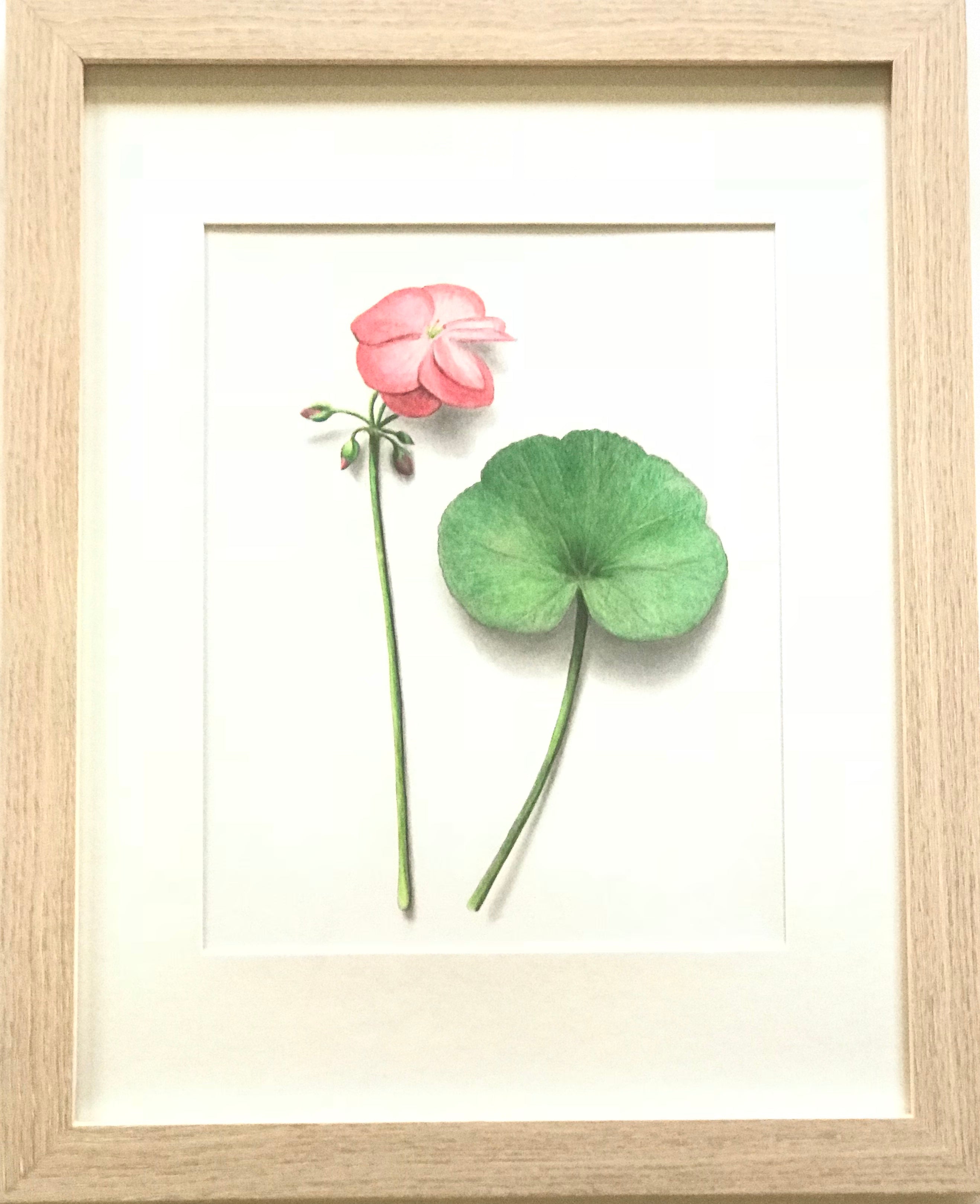 Botanical I