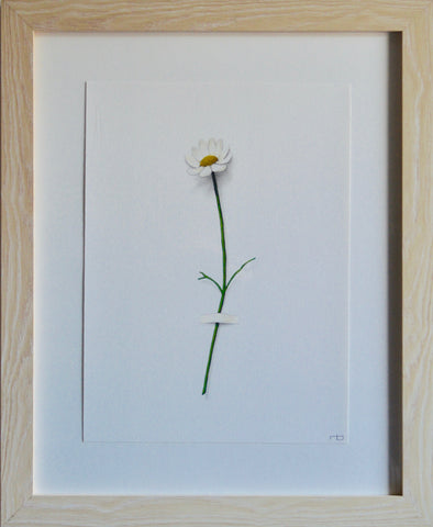 Daisy Flower