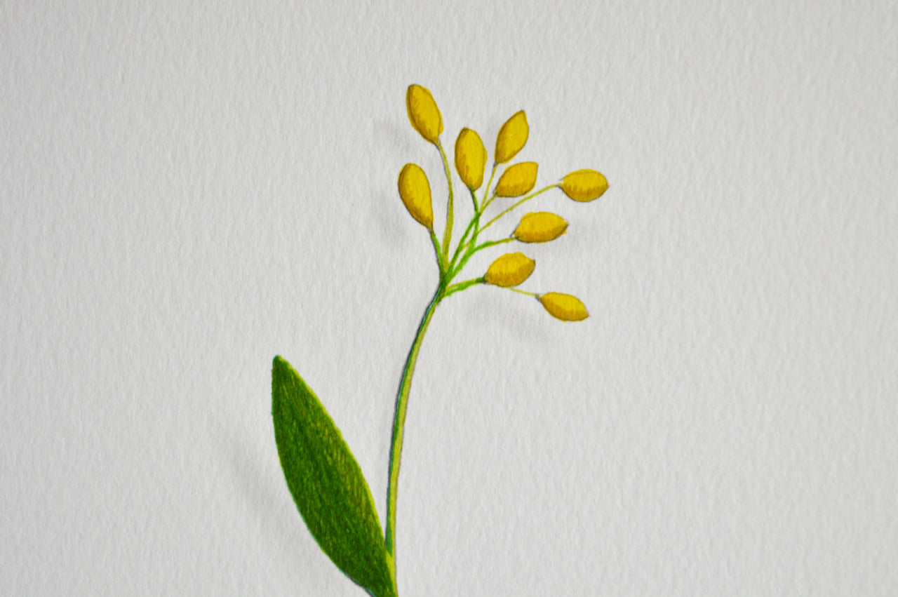 Yellow Flower 3