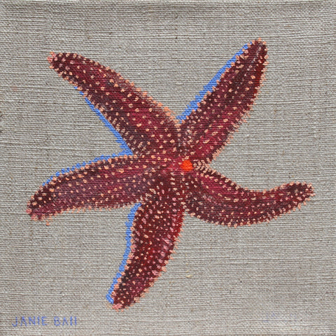 Starfish