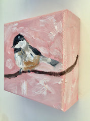 Chickadee in Pink