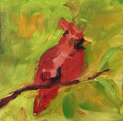 Red Bird