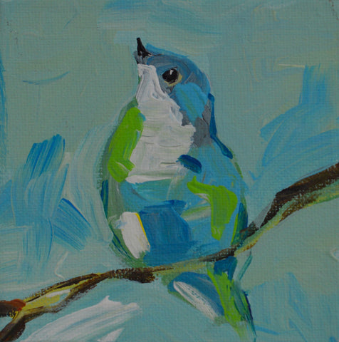 Baby Blue Bird