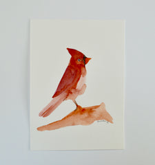 Bird 3