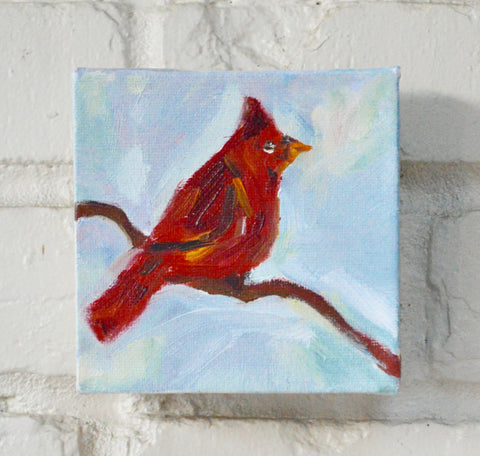 Morning Cardinal