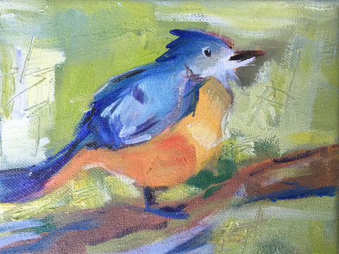 Robin