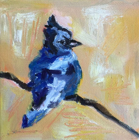 Blue Jay