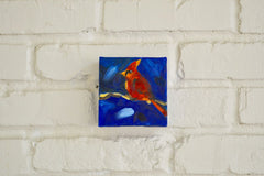 Cardinal in Blue