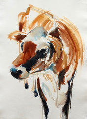 Cow Study III